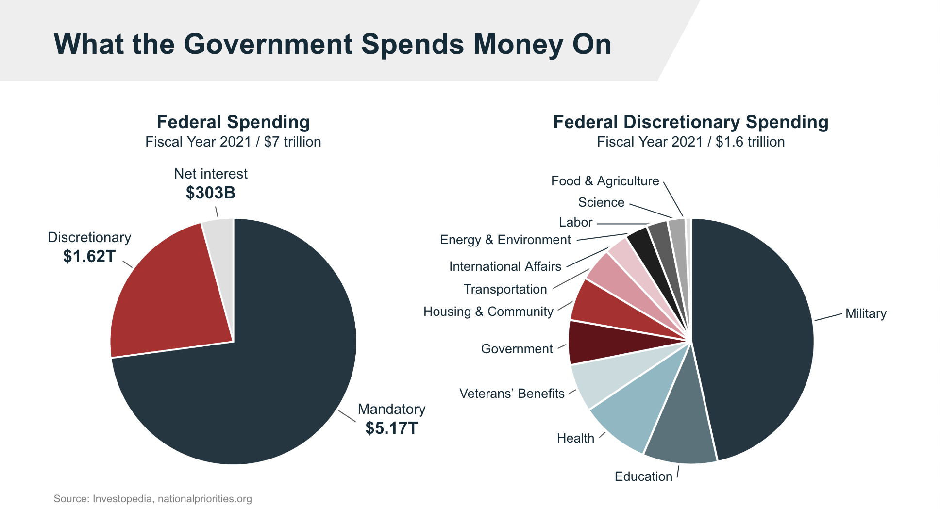 What the Government Spends Money On